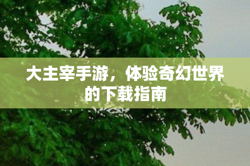 体验奇幻世界的下载指南图片