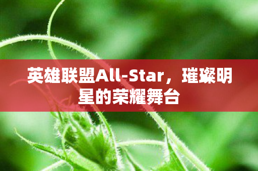 璀璨明星的荣耀舞台图片