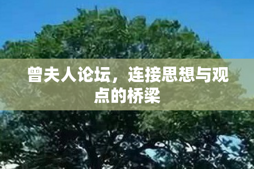 连接思想与观点的桥梁图片