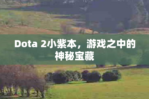 Dota 2小紫本图片