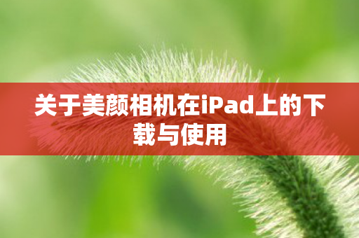 关于美颜相机在iPad上的下载与使用图片