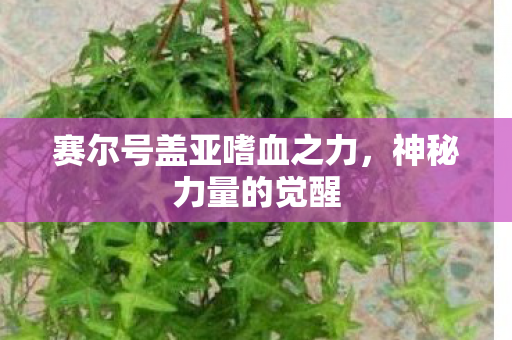 赛尔号盖亚嗜血之力图片