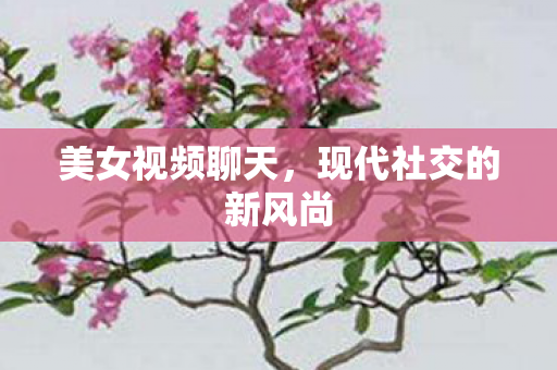 现代社交的新风尚图片