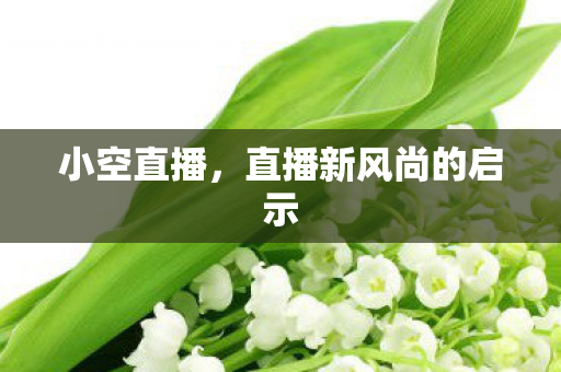 直播新风尚的启示图片