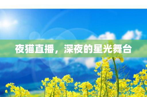 深夜的星光舞台图片