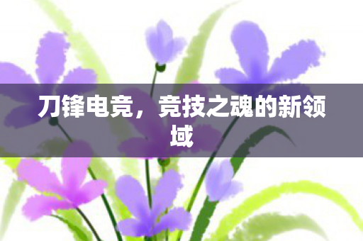竞技之魂的新领域图片