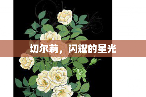 闪耀的星光图片