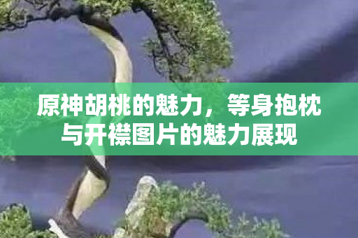 等身抱枕与开襟图片的魅力展现图片