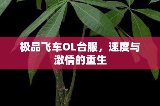 极品飞车OL台服图片