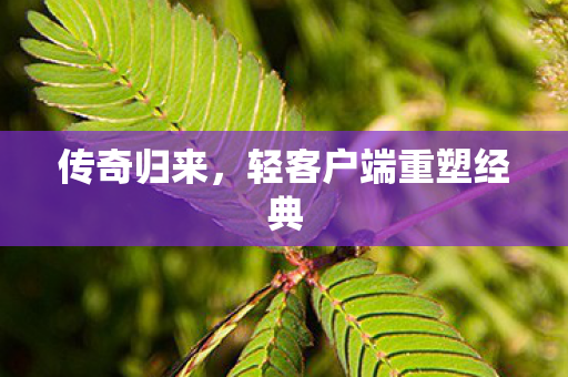 轻客户端重塑经典图片