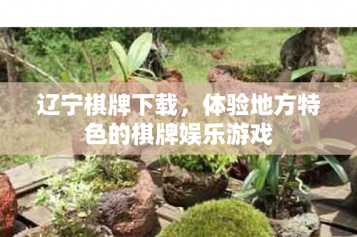 体验地方特色的棋牌娱乐游戏图片