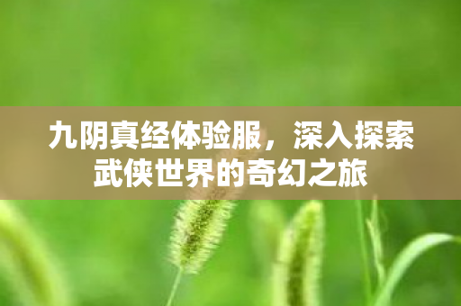 深入探索武侠世界的奇幻之旅图片