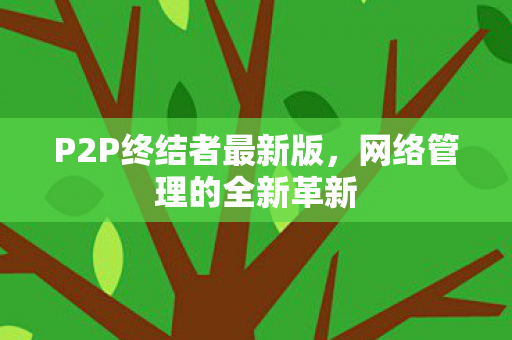 P2P终结者最新版图片