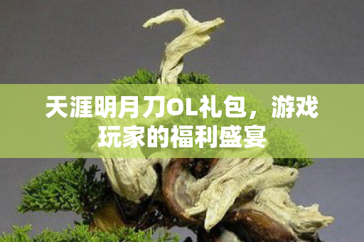 天涯明月刀OL礼包图片