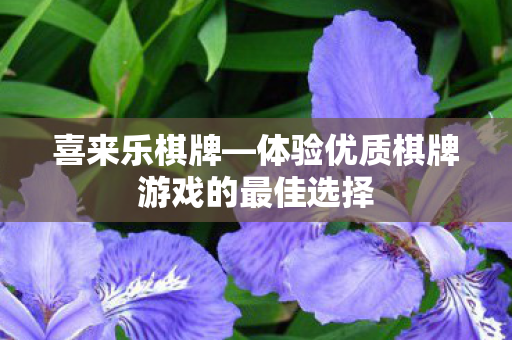 体验优质棋牌游戏的最佳选择图片