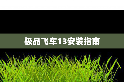 极品飞车13安装指南图片
