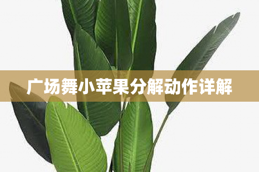 广场舞小苹果分解动作详解图片