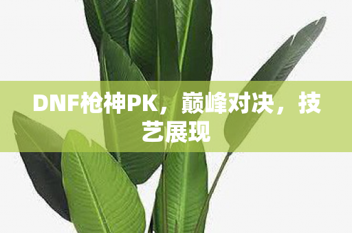 DNF枪神PK图片