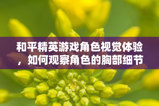 和平精英游戏角色视觉体验图片