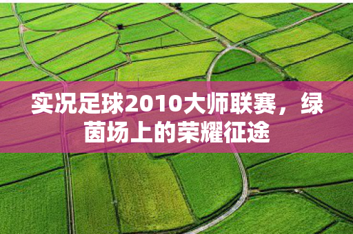 实况足球2010大师联赛图片