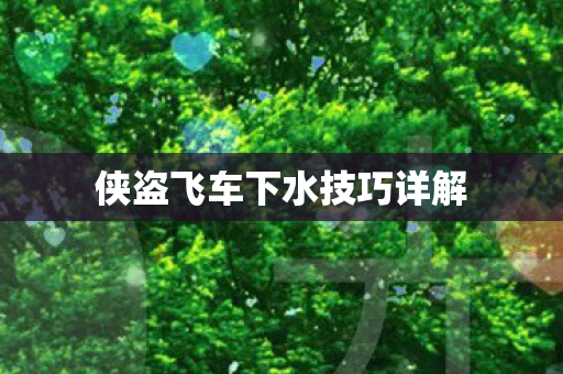 侠盗飞车下水技巧详解图片