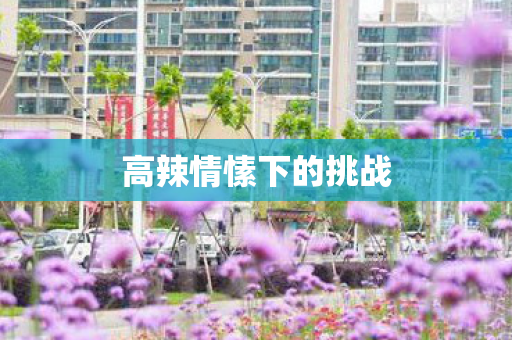 高辣情愫下的挑战图片
