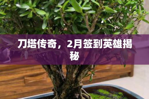 2月签到英雄揭秘图片