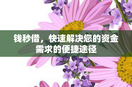 快速解决您的资金需求的便捷途径图片