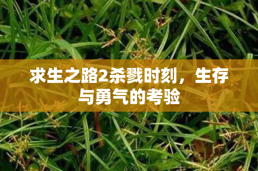 求生之路2杀戮时刻图片