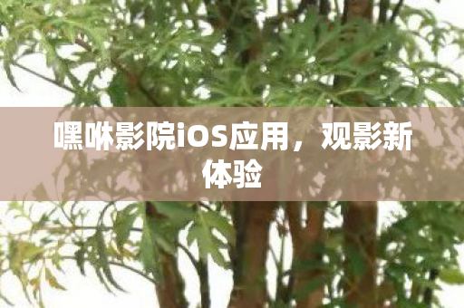 嘿咻影院iOS应用图片