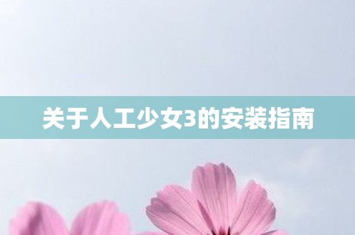关于人工少女3的安装指南图片