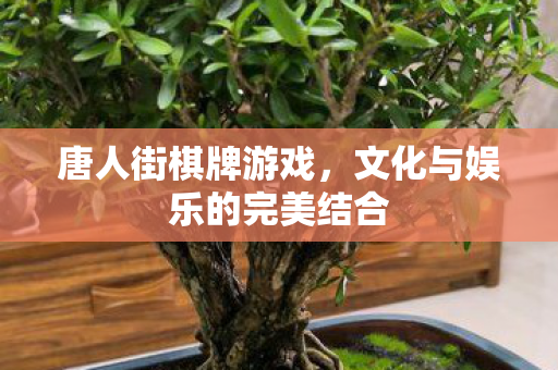 文化与娱乐的完美结合图片