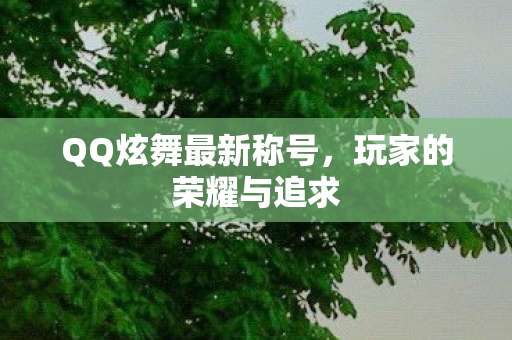 QQ炫舞最新称号图片