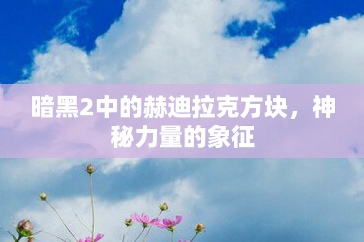 暗黑2中的赫迪拉克方块图片