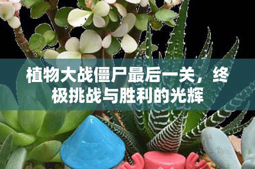 植物大战僵尸最后一关图片