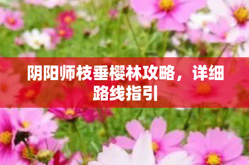 阴阳师枝垂樱林攻略图片