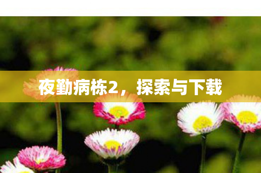 夜勤病栋2图片