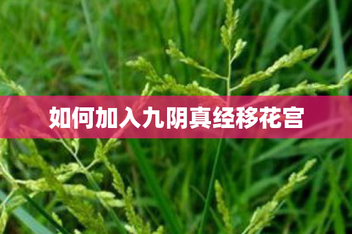如何加入九阴真经移花宫图片