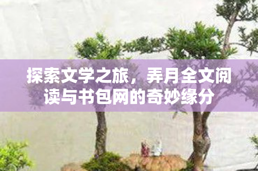 弄月全文阅读与书包网的奇妙缘分图片