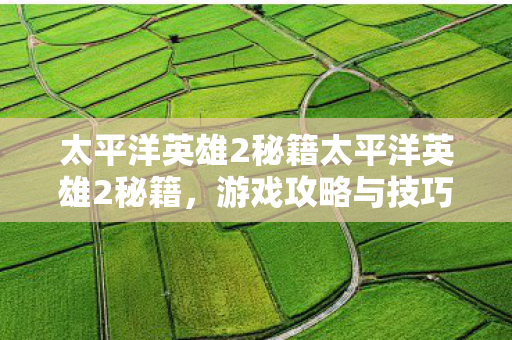 太平洋英雄2秘籍太平洋英雄2秘籍图片