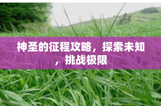 神圣的征程攻略图片
