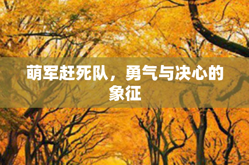 勇气与决心的象征图片