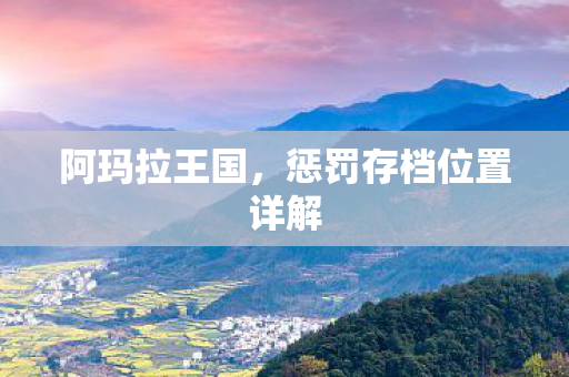 惩罚存档位置详解图片