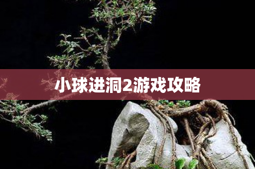 小球进洞2游戏攻略图片