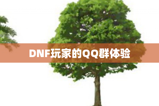 DNF玩家的QQ群体验图片