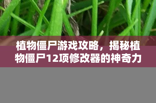 揭秘植物僵尸12项修改器的神奇力量图片