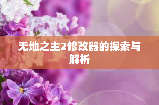 无地之主2修改器的探索与解析图片