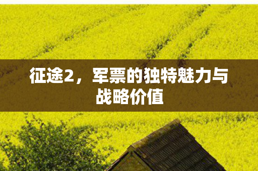 军票的独特魅力与战略价值图片