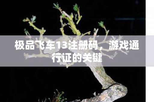 极品飞车13注册码图片