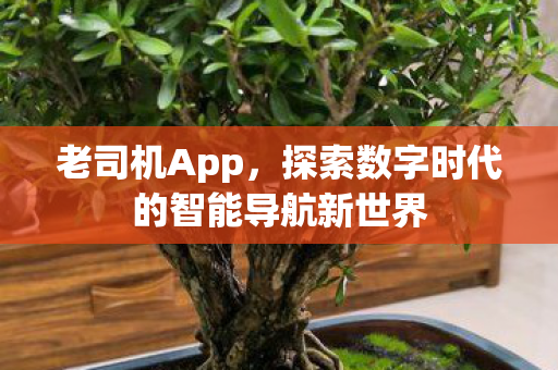 探索数字时代的智能导航新世界图片